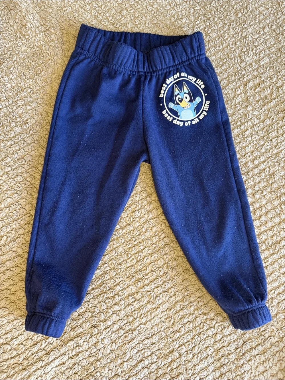 Bluey official themed